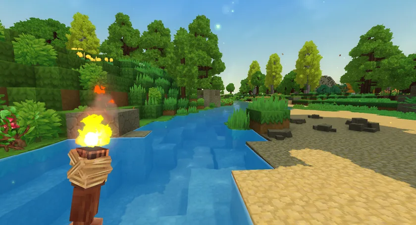 Torch Immersion image 5