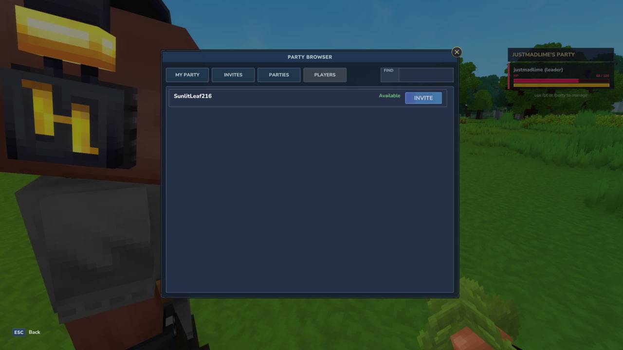 Party Mod image 2